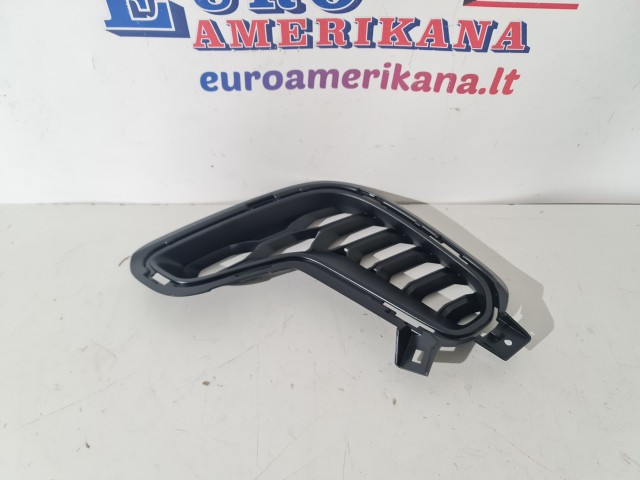 Fascia Grille, Left